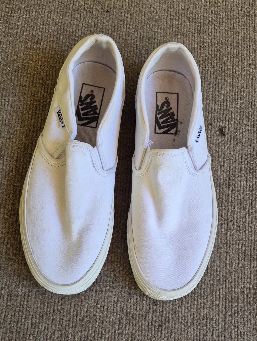 Vans White Low-Top Sneaker